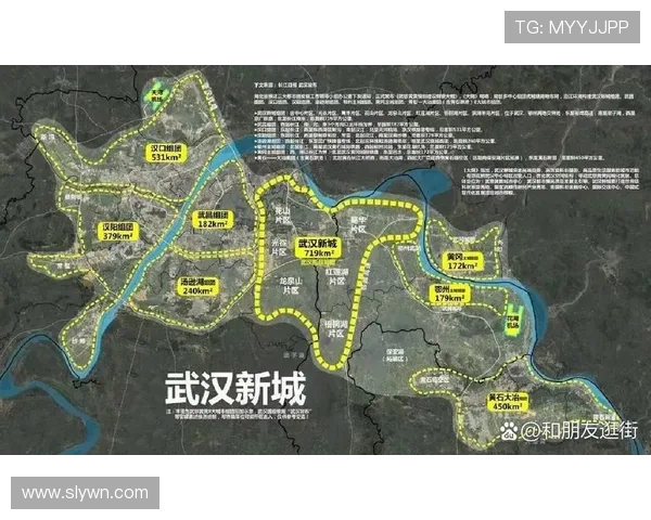 武汉排球队在世锦赛中的实力展现与未来发展潜力分析