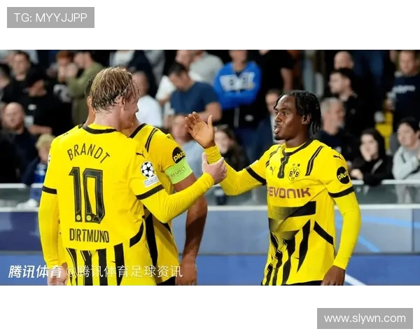 多特蒙德球迷暴力事件引发欧冠禁赛处罚及高额罚款